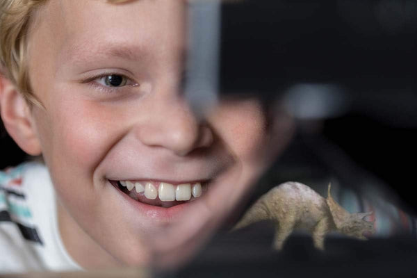 4M: KidzLabs: Hologram Science - Ages 8+