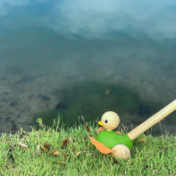 Plan: Push-Along Duck - Ages 12mths+