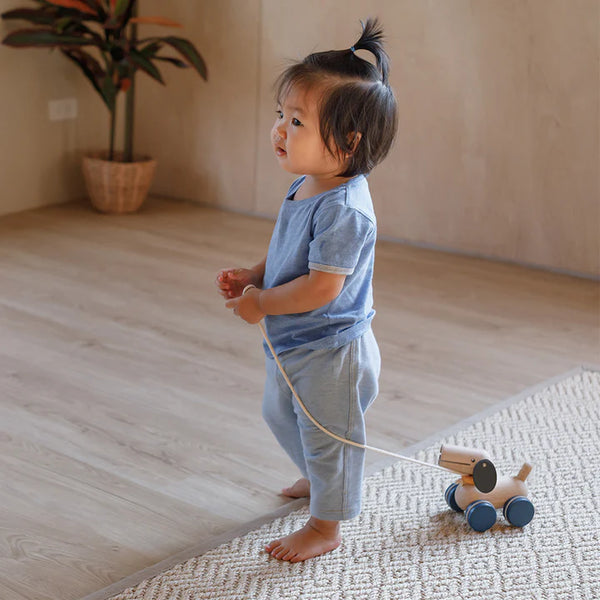 Plan: Push and Pull Puppy - Ages 12mths+