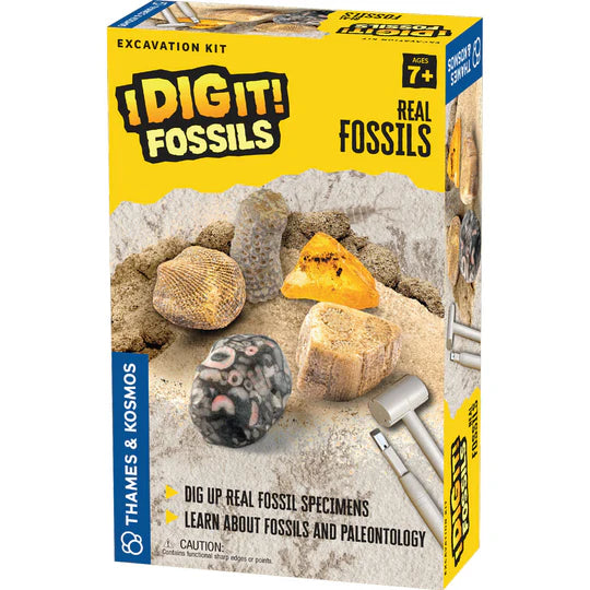 TK: Dig It! Fossils Real Fossil Excavation Kit - Ages 7+