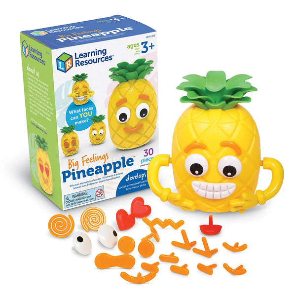 LR Big Feelings Pineapple
