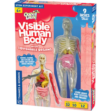 Ooze Labs: Visible Human Body With Squishable Organs - Ages 6+