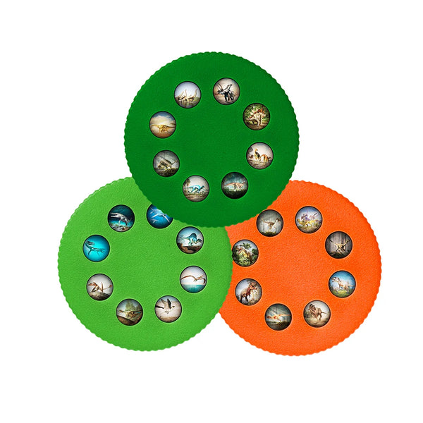 Wonder Lights Dinosaurs - Educational Flashlight - Thames Kosmos