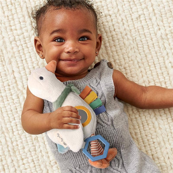 Itzy Ritzy - Bitzy Traveler™ Developmental Sensory Toy Goose