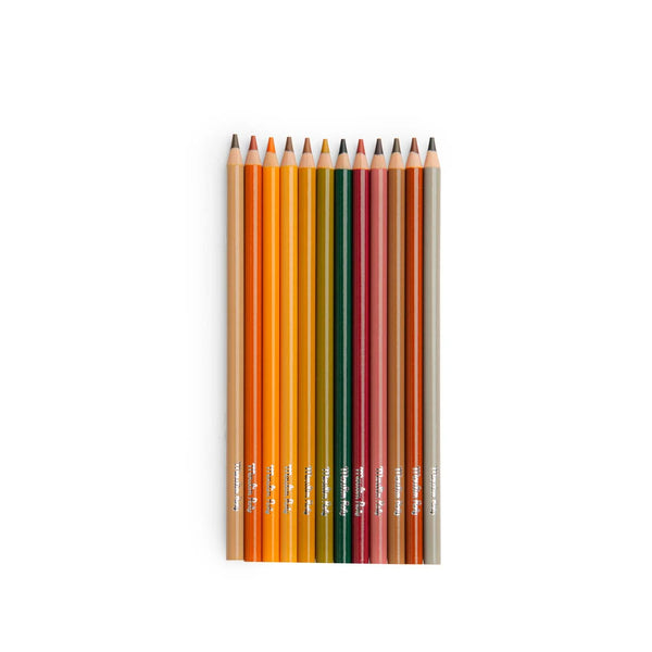 Le Jardinier 12 Animal Colouring Pencils and Cards - Moulin Roty