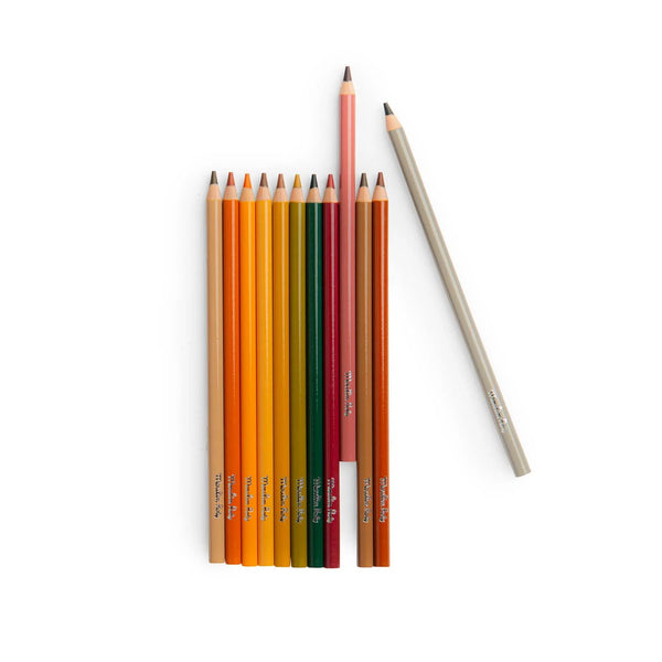 Le Jardinier 12 Animal Colouring Pencils and Cards - Moulin Roty