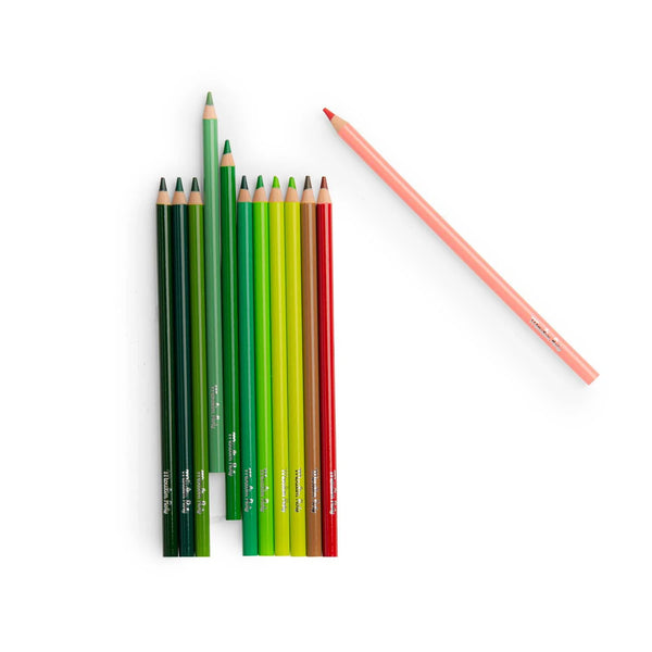 Le Jardinier 12 Nature Colouring Pencils and Cards - Moulin Roty