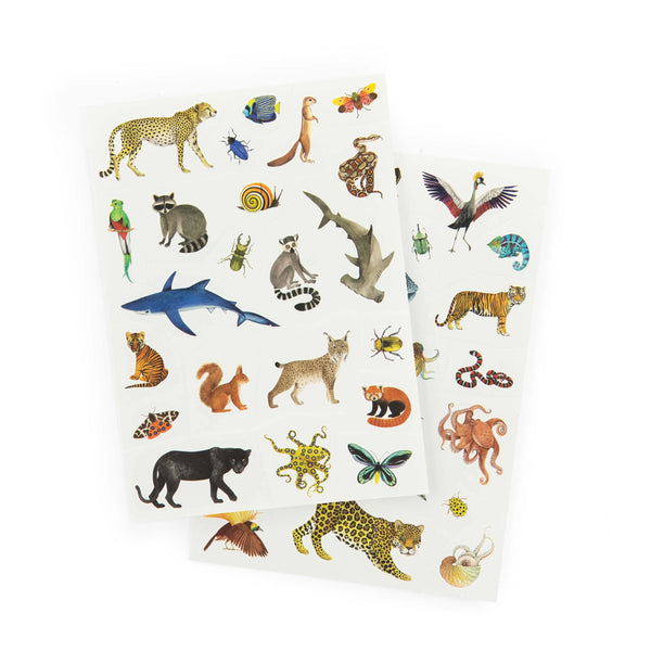 Moulin Roty World Adventure Temporary Tattoos