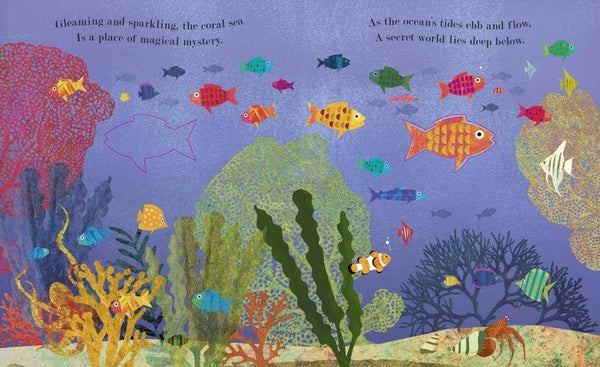 BB: Ocean: a Peek-Through Board Book - Ages 0+