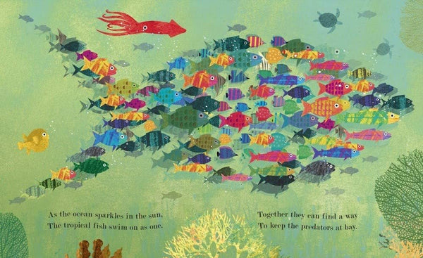 BB: Ocean: a Peek-Through Board Book - Ages 0+