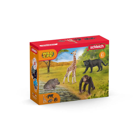 Schleich: Wild Life Starter Kit - Ages 3+