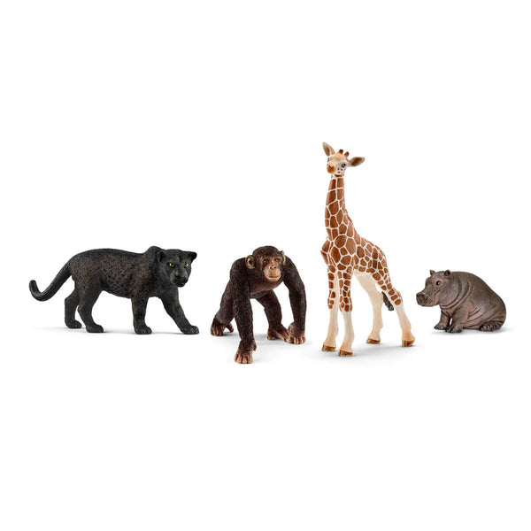 Schleich: Wild Life Starter Kit - Ages 3+