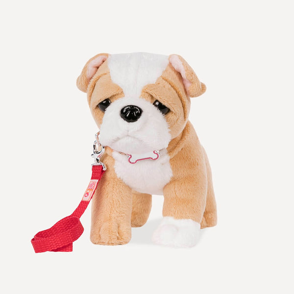 OG: Assorted Pups - Ages 3+