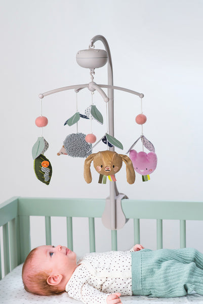 Taf Toys - Urban Garden Mobile - Ages 0+