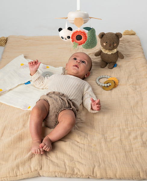 Taf Toys: Luxury Newborn Kit - Ages 0+