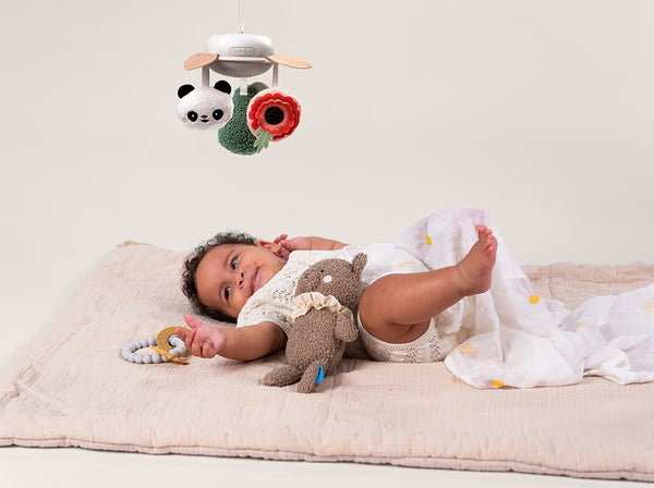Taf Toys: Luxury Newborn Kit - Ages 0+