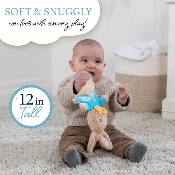 Beatrix Potter's Peter Rabbit Sensory Blanky