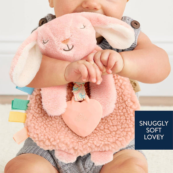 Itzy Ritzy - Itzy Friends Lovey™ Plush and Teether Toy