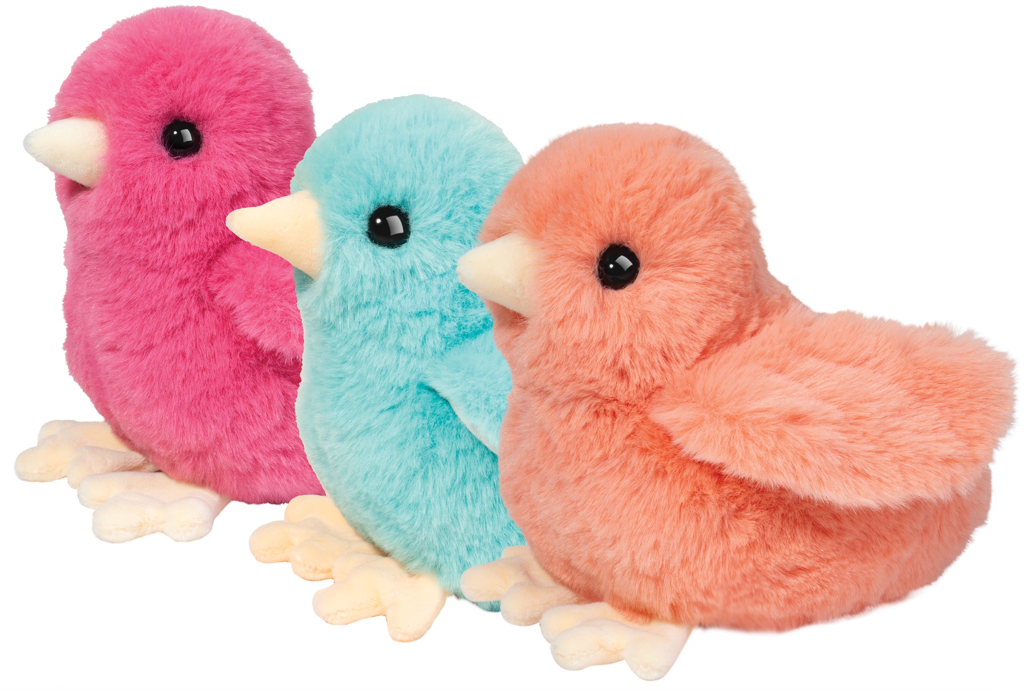 Douglas: Colourful Chick - Ages 2+