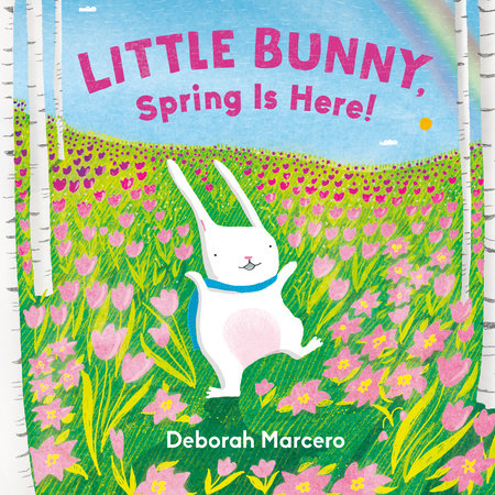 BB: Little Bunny, Spring is Here! - Ages 0+