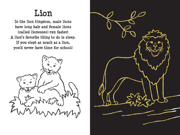 AB: Scratch and Sketch Art Activity Book: At the Zoo - Ages 5+