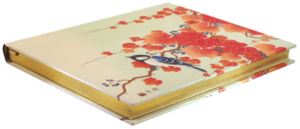 Journal: O/S - Bird & Red Ivy -  Ages 8+