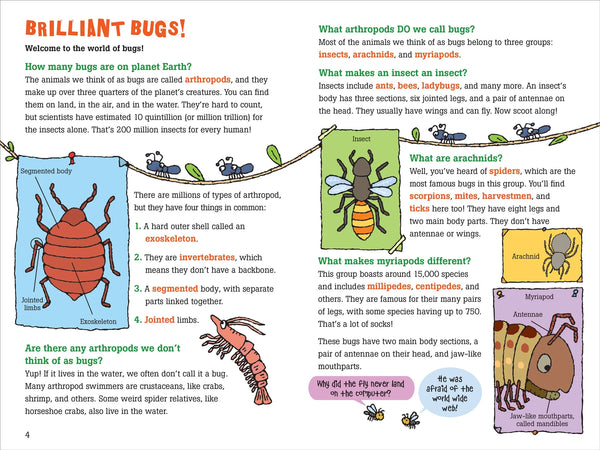 ECB: 100 Questions About Bugs - Ages 7+