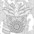 AB: Artist's Colouring Book: Succulents - Ages 12+