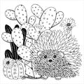 AB: Artist's Colouring Book: Succulents - Ages 12+