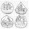 AB: Artist's Colouring Book: Succulents - Ages 12+