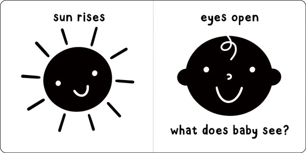 BB: What Does Baby See? a First High-Contrast Book - Ages 0+