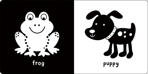 BB: What Does Baby See? a First High-Contrast Book - Ages 0+