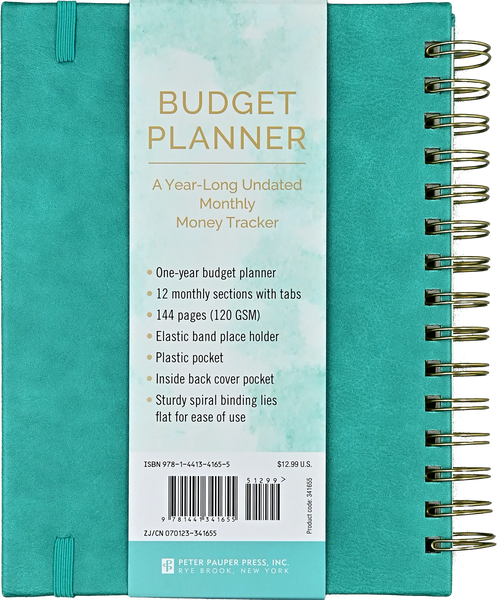 Budget Planner: A Year-Long Undated Monthly Money Tracker