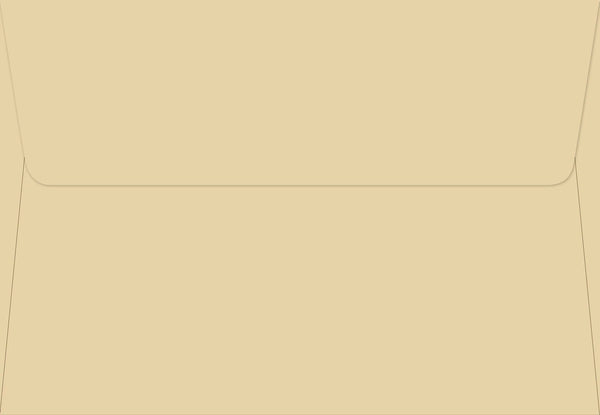 Boxed Cards: Thank You Notes Pooh Bear