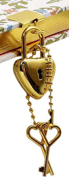 PPP: Locking Journal Enchanted Forest - Ages 5+