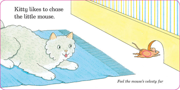 BB: Fluffy Kitten: a Touch and Feel Book - Ages 0+