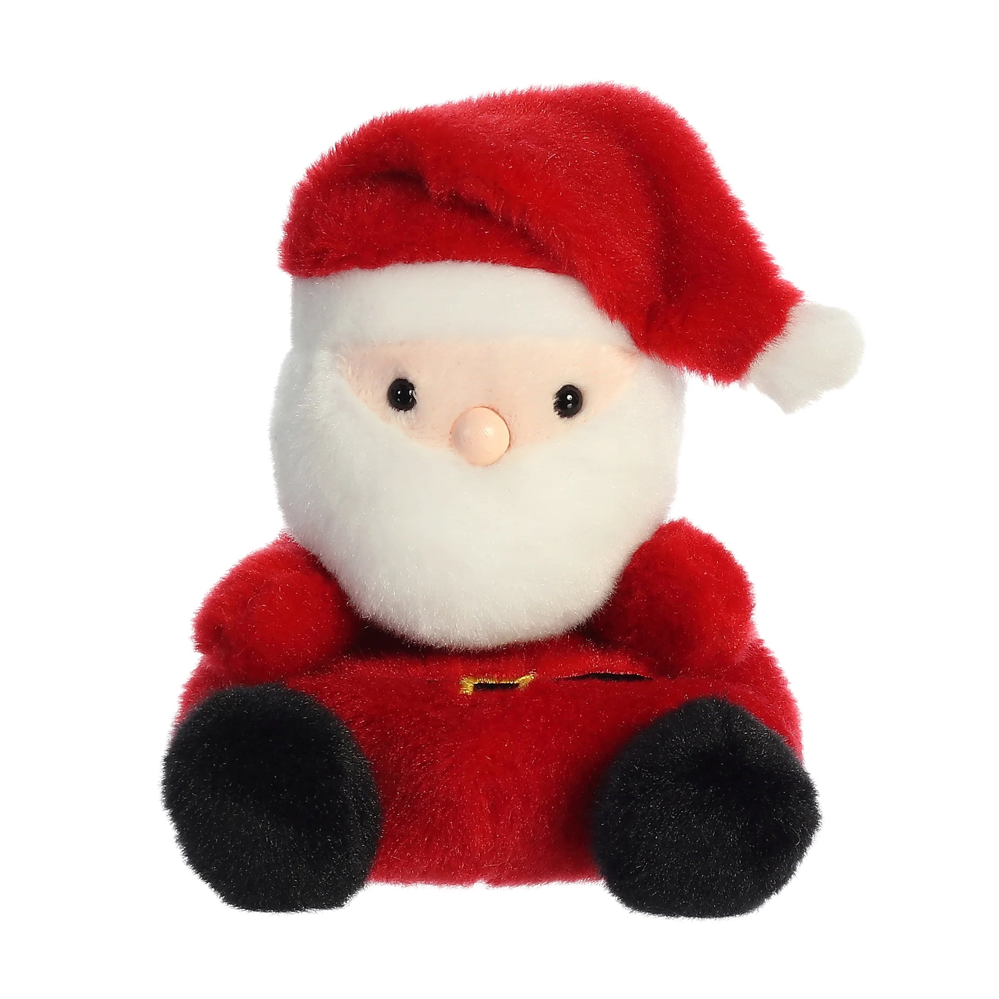 Palm Pals: Santa - Ages 12mths+