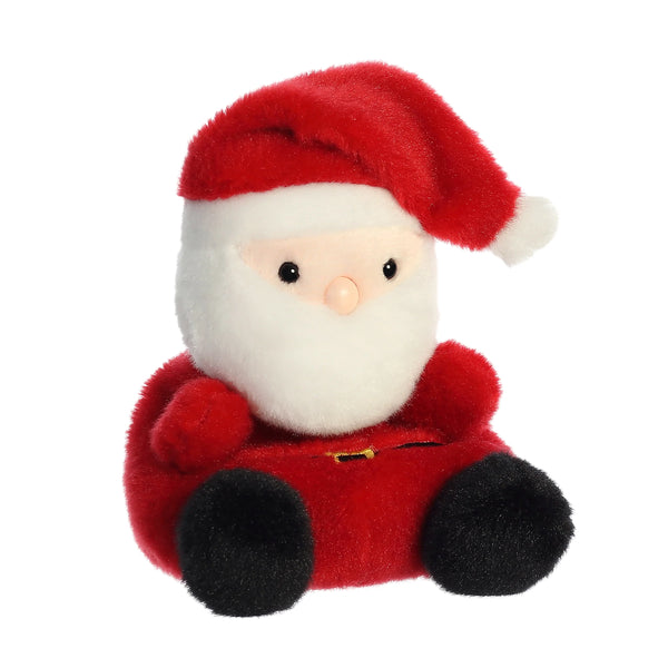Palm Pals: Santa - Ages 12mths+