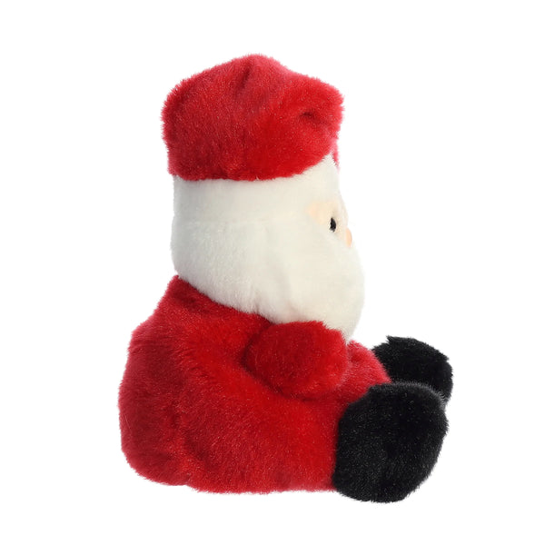Palm Pals: Santa - Ages 12mths+