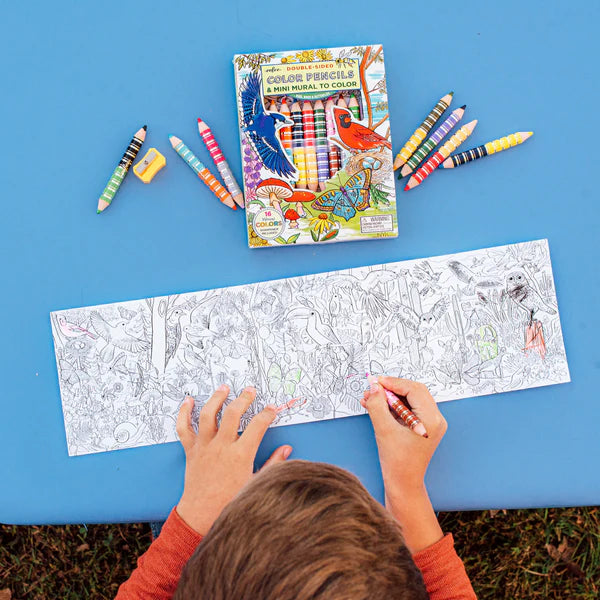 EeBoo: 8 Double-Sided Coloured Pencils & Mini Mural: Bugs, Birds & Butterflies - Ages 4+