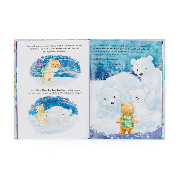 PB: Bartholomew Bear and the Snow Giants - Ages 4+