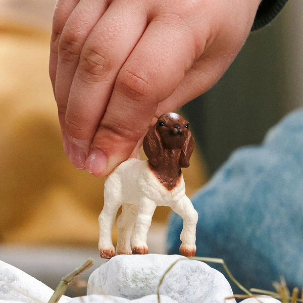 Schleich: Boer Goat Kid