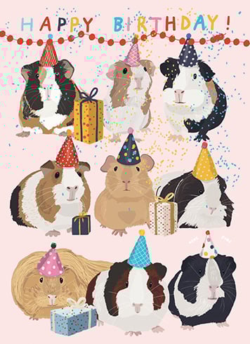 GC: Birthday Guineas - Birthday Card