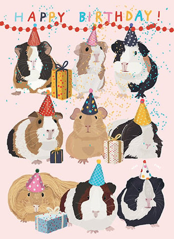 GC: Birthday Guineas - Birthday Card