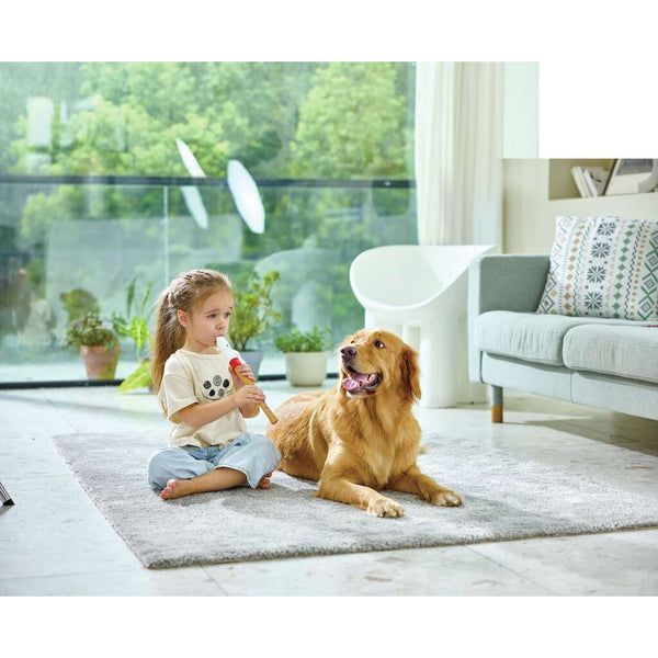 Hape: Mini Musician's Starter Recorder - Ages 3+