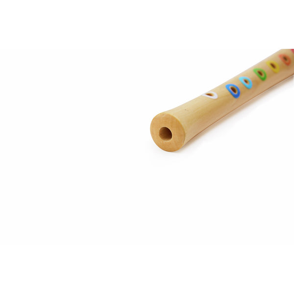 Hape: Mini Musician's Starter Recorder - Ages 3+