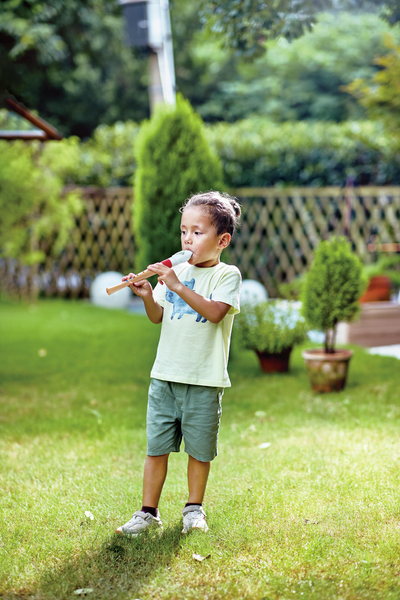 Hape: Mini Musician's Starter Recorder - Ages 3+