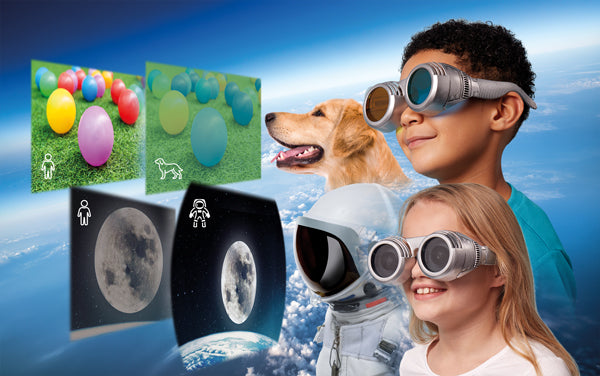 BrainStorm: See The World Thru Other Eyes - Ages 6+