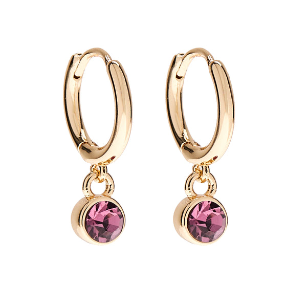 Earrings: Birthstone February Amethyst - Gold