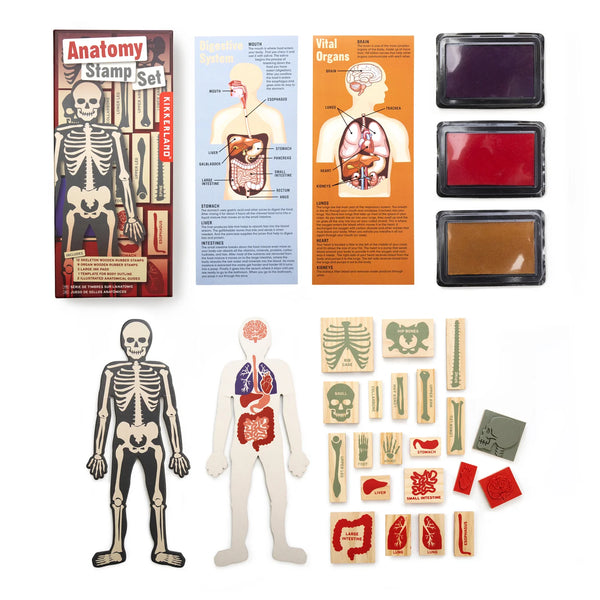 KL: Anatomy Stamp Set - Ages 3+